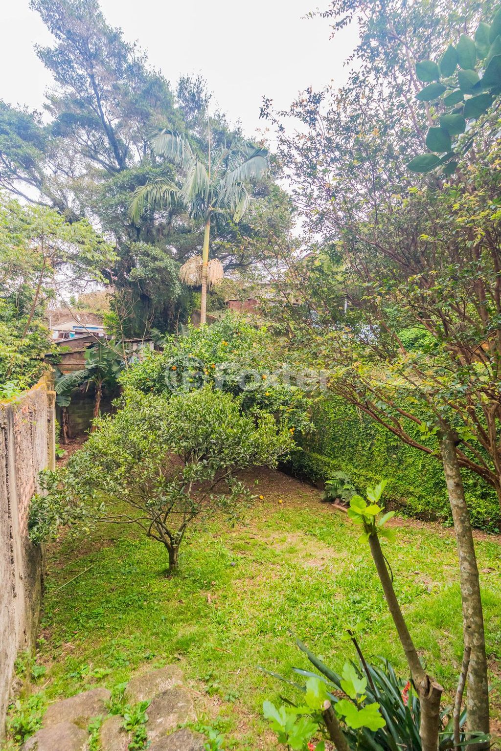 casa sobrado para comprar em Conde da Figueira, 360 - foto 34