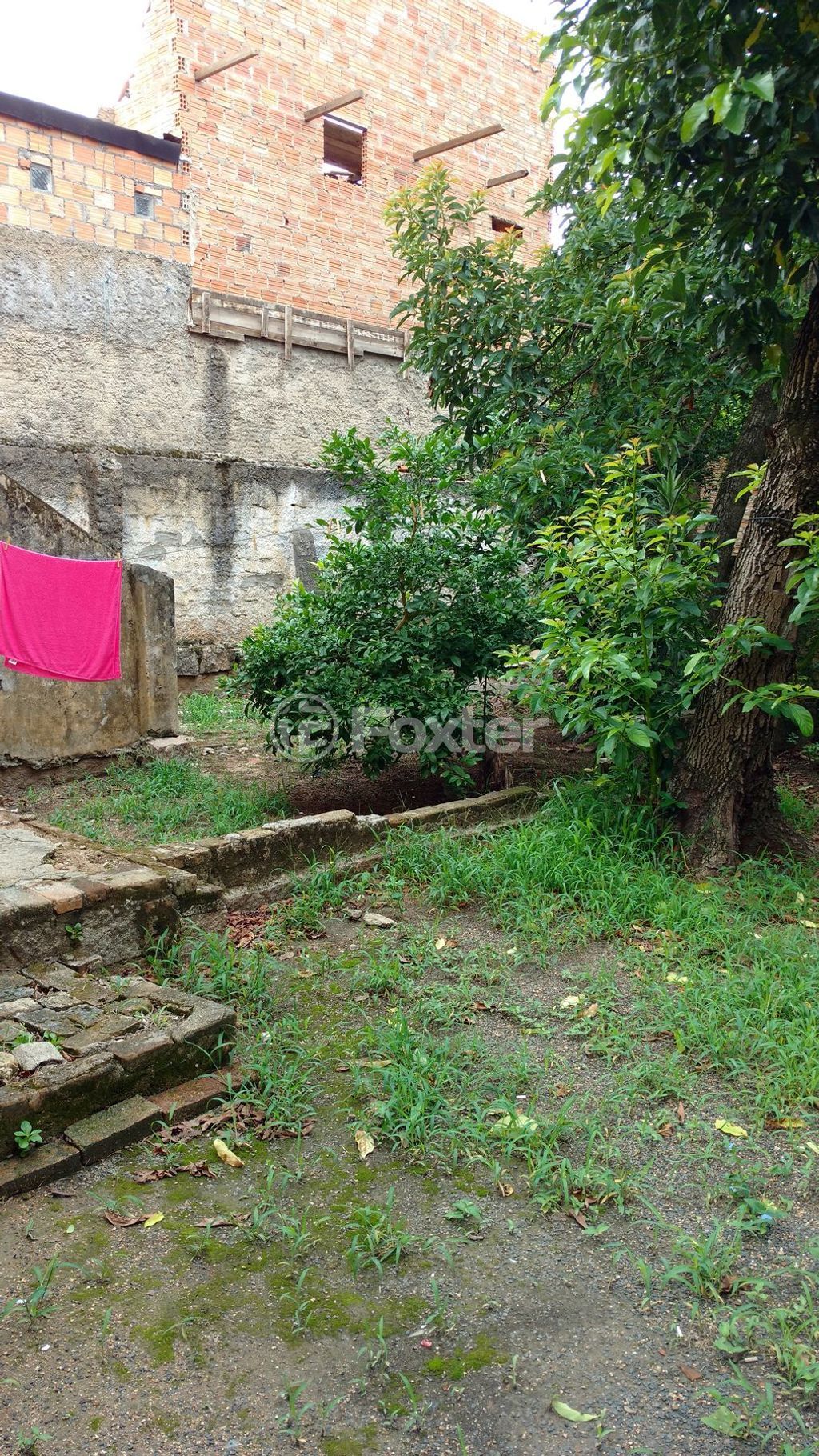 casa sobrado para comprar em Domício da Gama, 351 - foto 16