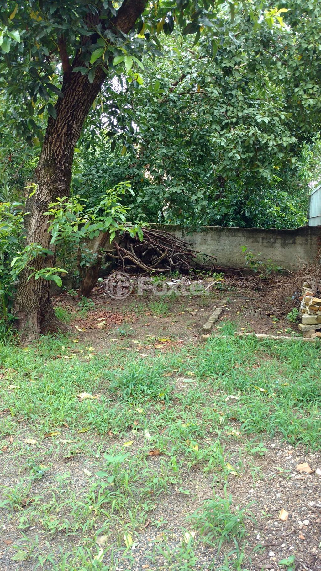 casa sobrado para comprar em Domício da Gama, 351 - foto 18