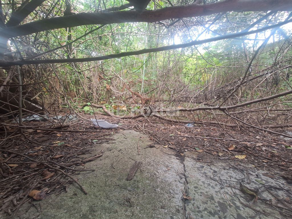 terreno lote condominio para comprar em General Rondon, 1465 - foto 9