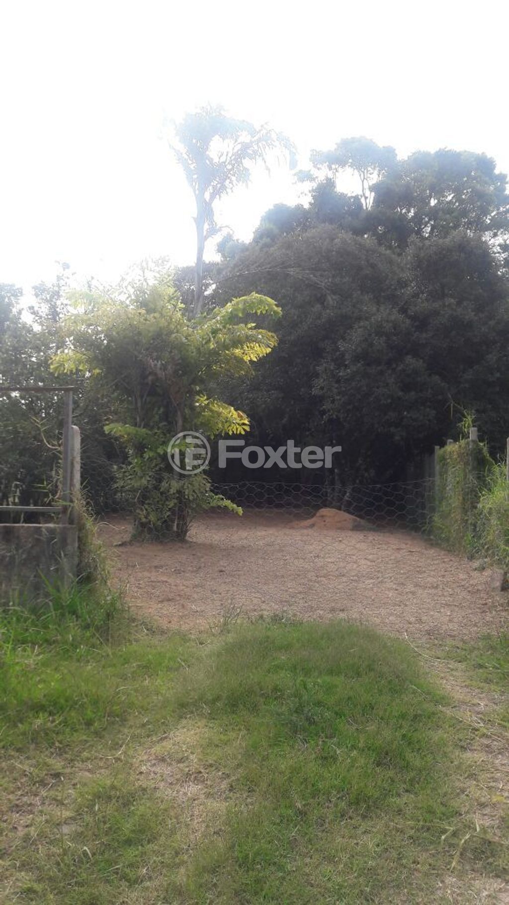 terreno lote condominio para comprar em General Flores da Cunha, 794 - foto 8