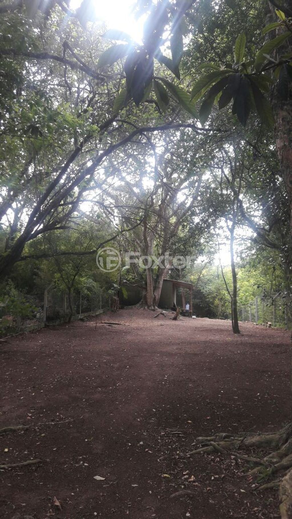 terreno lote condominio para comprar em General Flores da Cunha, 794 - foto 9