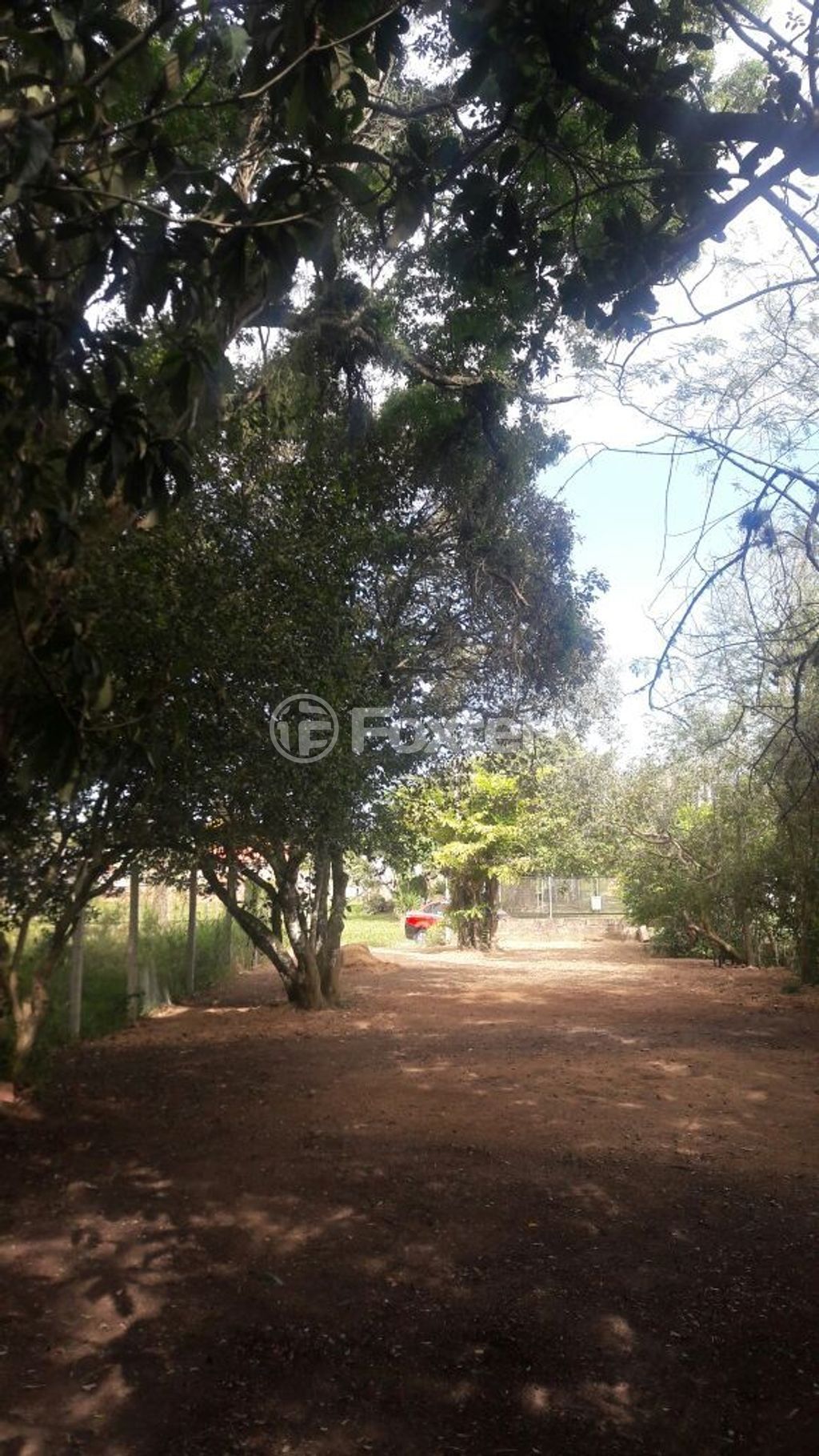 terreno lote condominio para comprar em General Flores da Cunha, 794 - foto 10