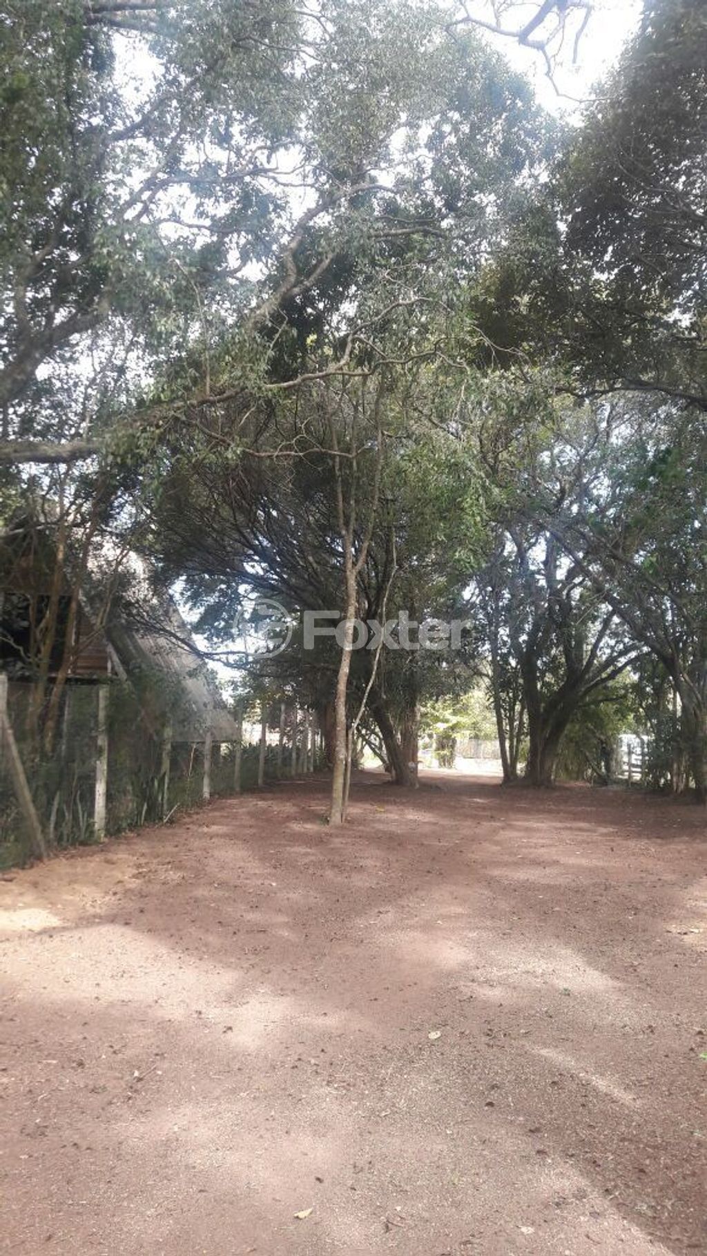 terreno lote condominio para comprar em General Flores da Cunha, 794 - foto 13
