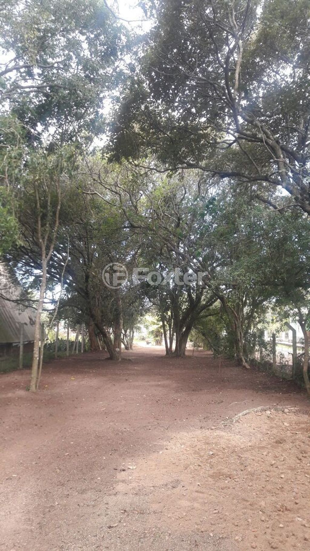 terreno lote condominio para comprar em General Flores da Cunha, 794 - foto 14