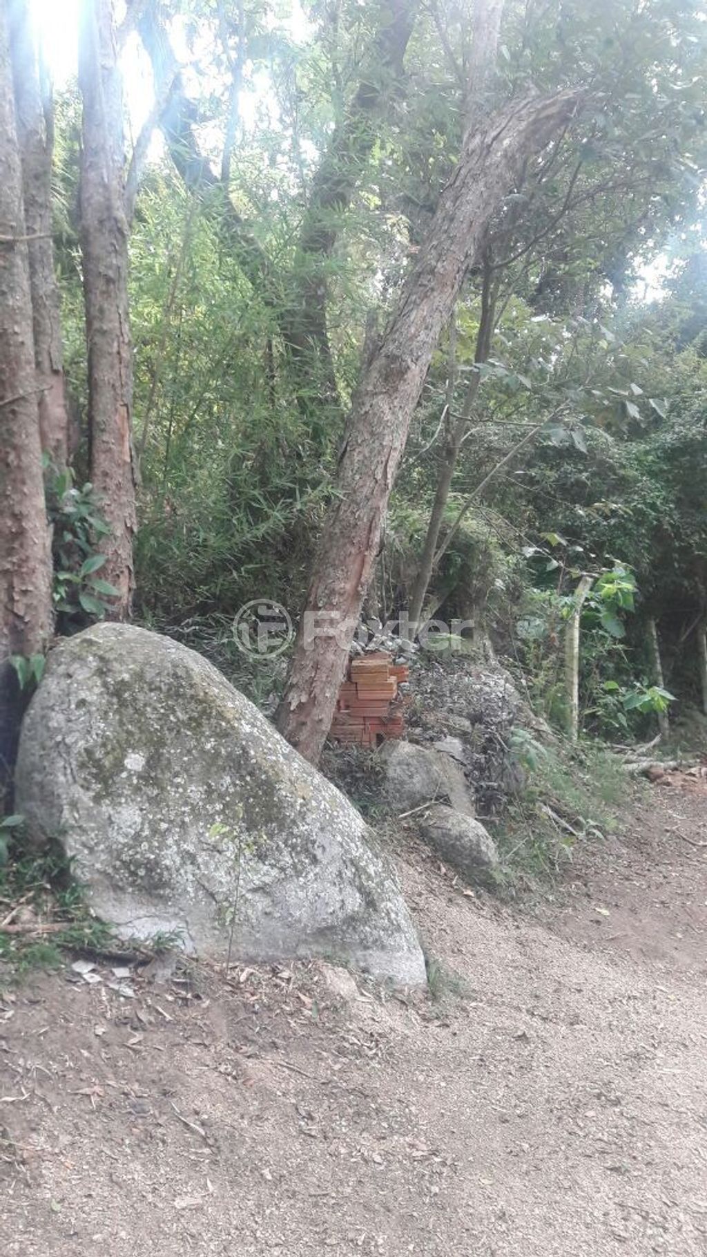 terreno lote condominio para comprar em General Flores da Cunha, 794 - foto 15