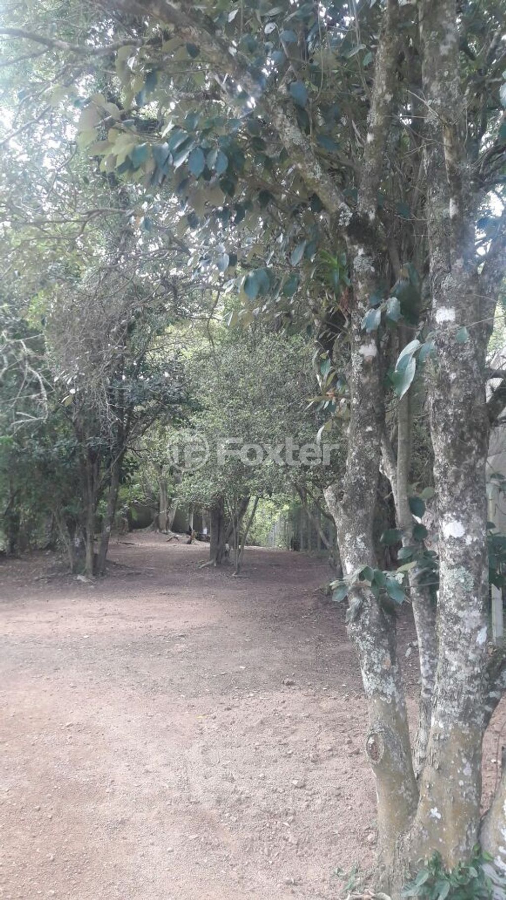 terreno lote condominio para comprar em General Flores da Cunha, 794 - foto 17