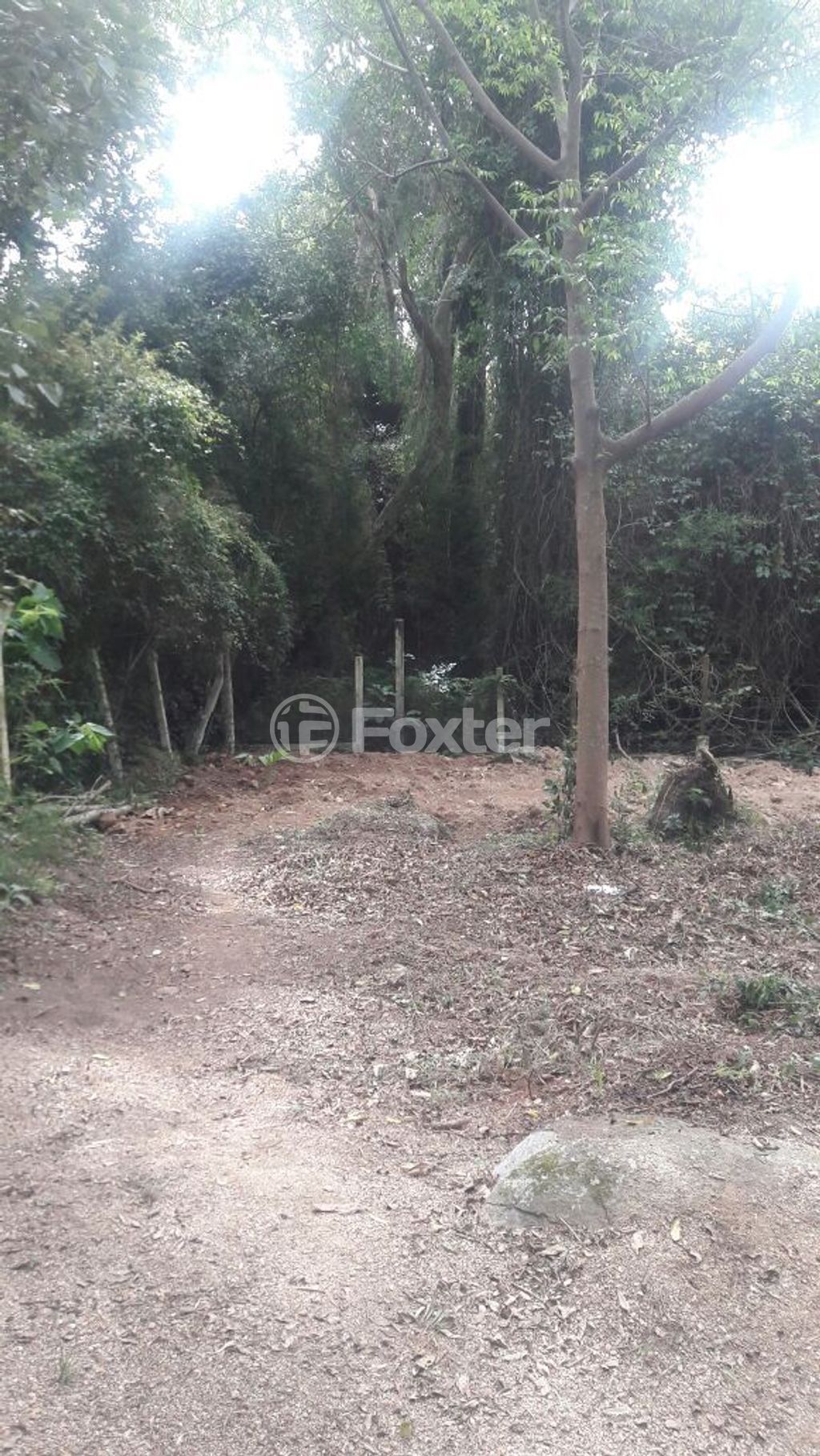terreno lote condominio para comprar em General Flores da Cunha, 794 - foto 18