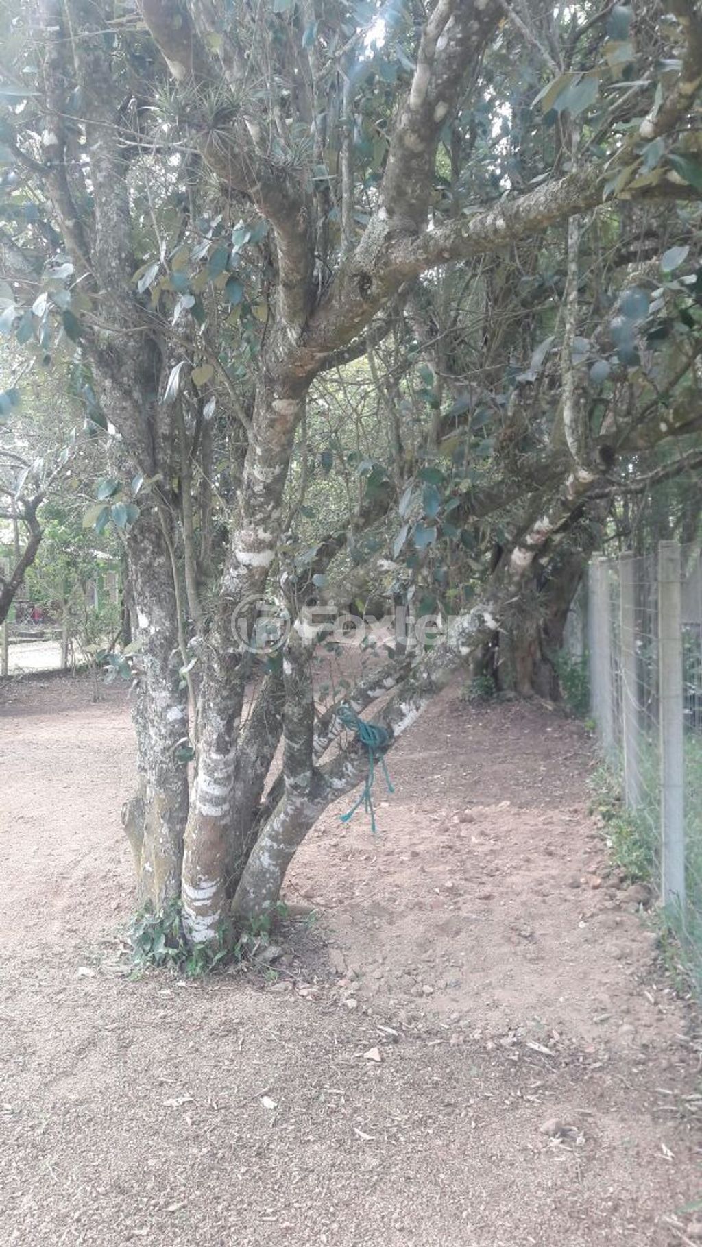 terreno lote condominio para comprar em General Flores da Cunha, 794 - foto 19