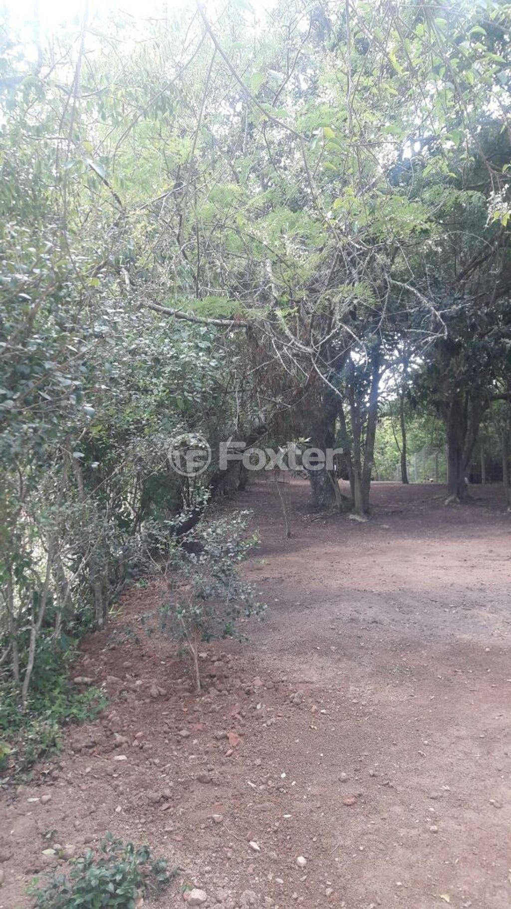 terreno lote condominio para comprar em General Flores da Cunha, 794 - foto 20