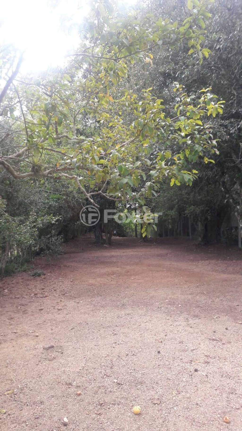 terreno lote condominio para comprar em General Flores da Cunha, 794 - foto 22