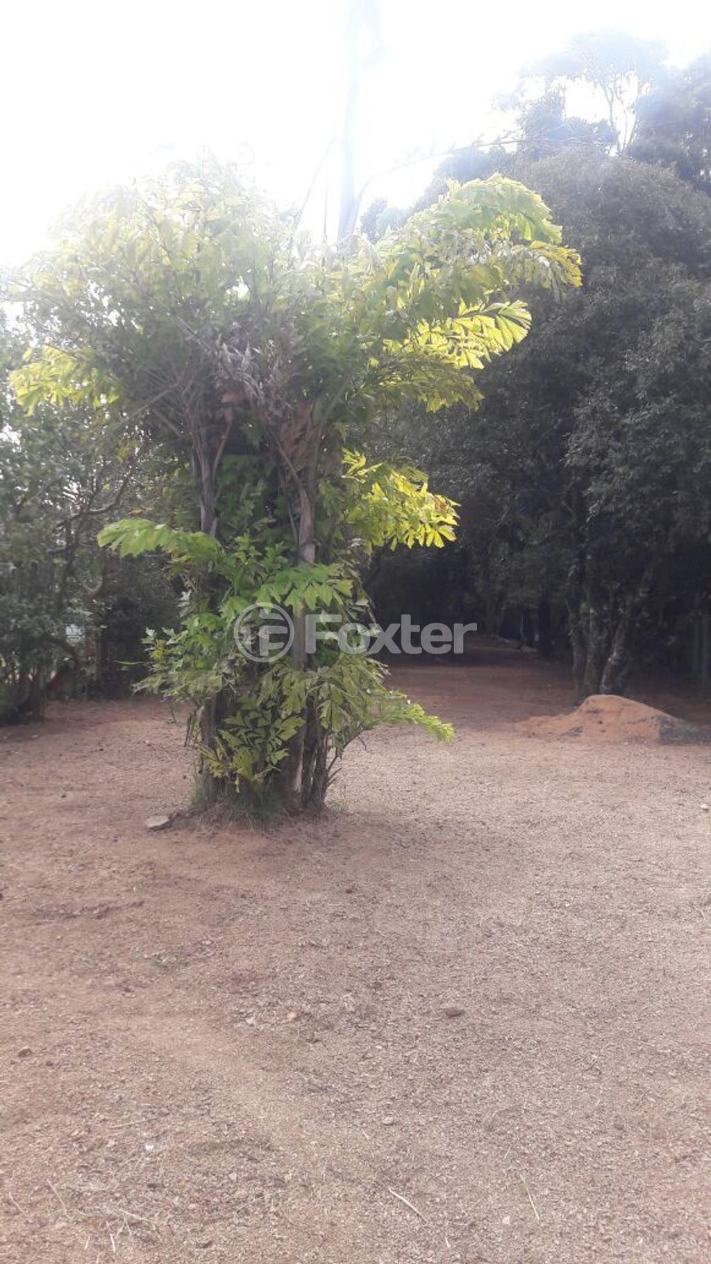 terreno lote condominio para comprar em General Flores da Cunha, 794 - foto 23