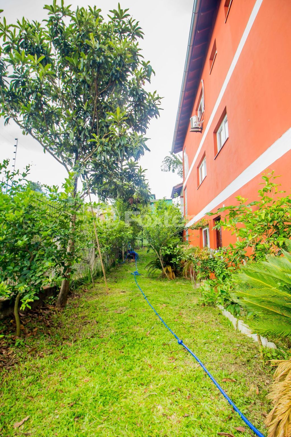 casa sobrado para comprar em Dona Lida Monteiro, 445 - foto 60