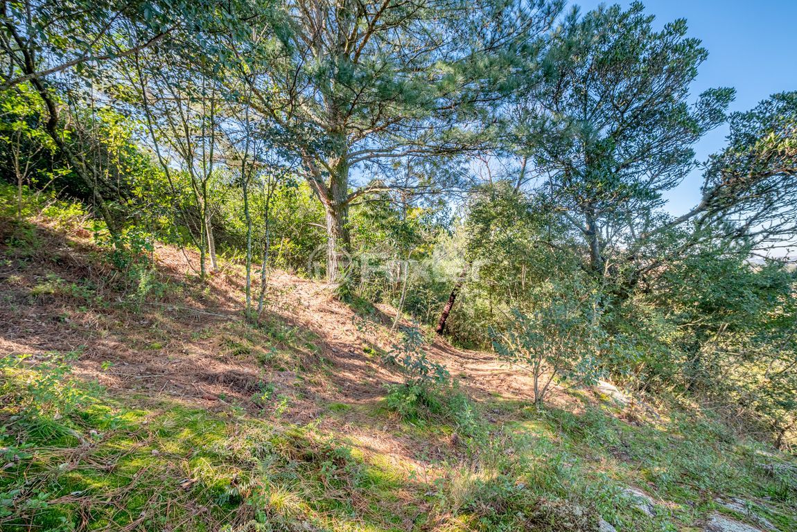 casa sobrado para comprar em Professor Oscar Pereira, 6832 - foto 41