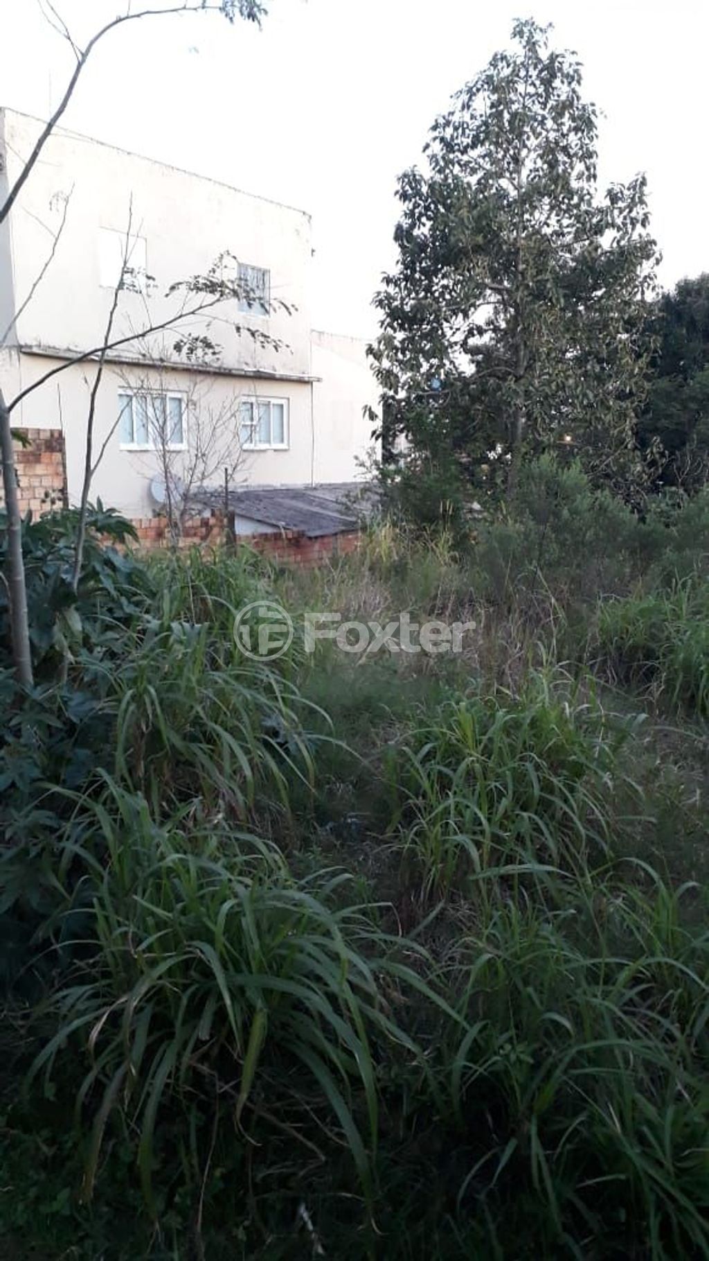 terreno lote condominio para comprar em Doutor Baltazar de Bem, 368/404 - foto 4
