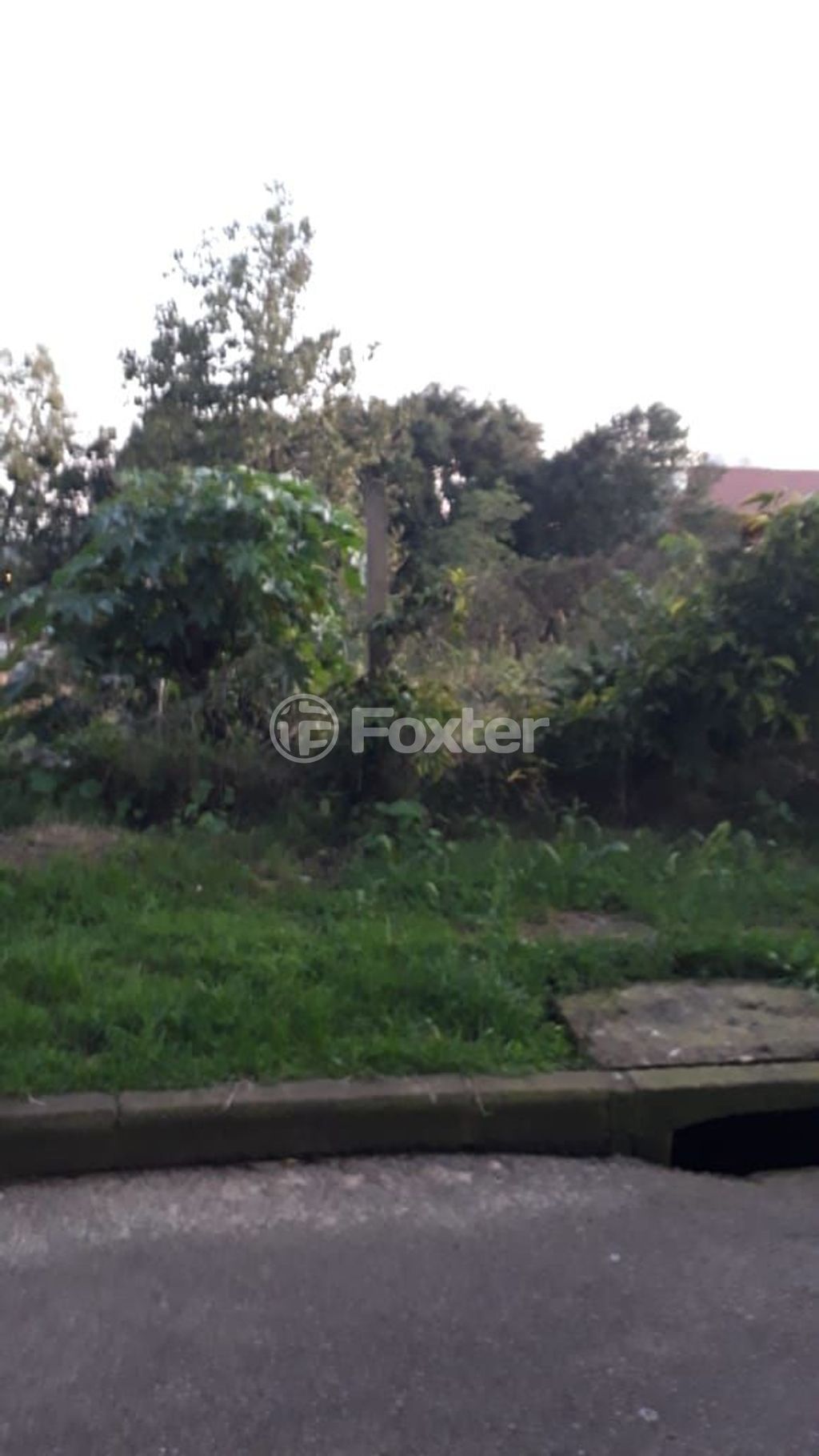 terreno lote condominio para comprar em Doutor Baltazar de Bem, 368/404 - foto 2