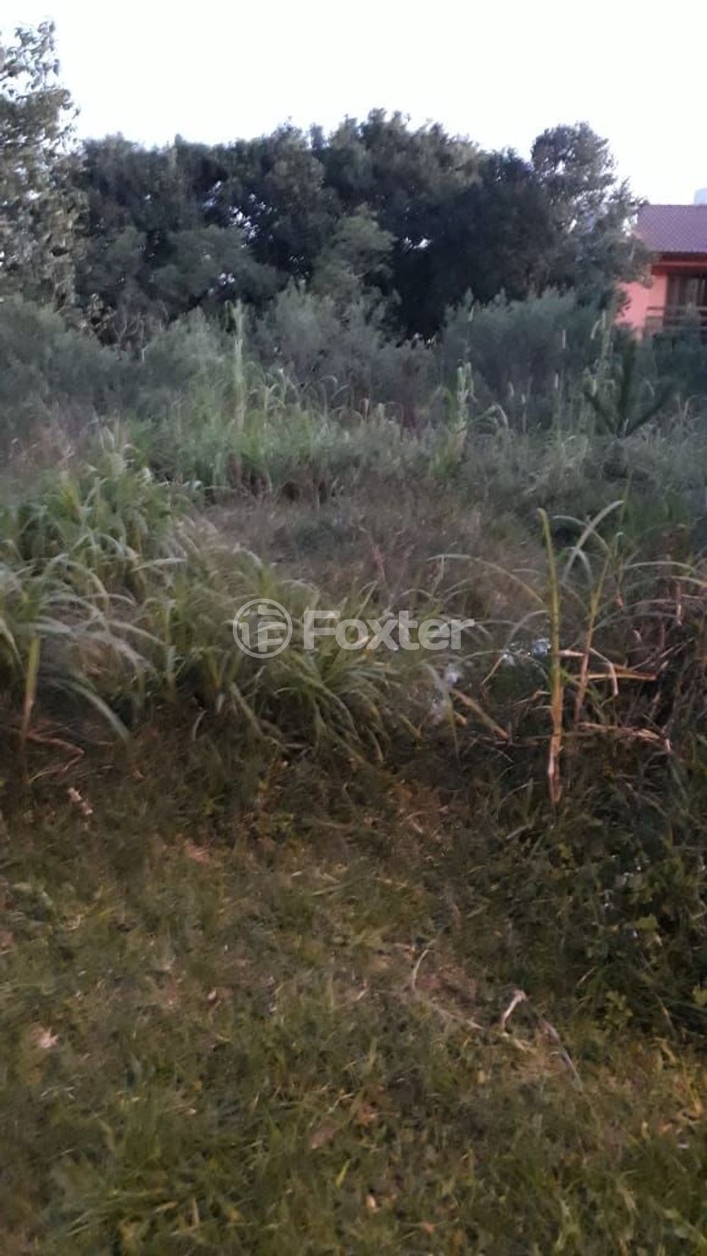 terreno lote condominio para comprar em Doutor Baltazar de Bem, 368/404 - foto 10
