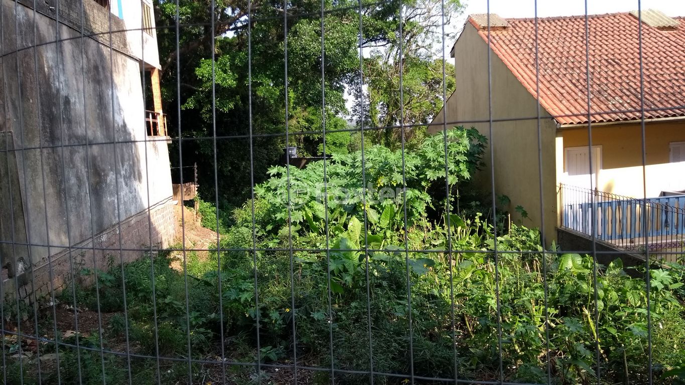 Foto 0