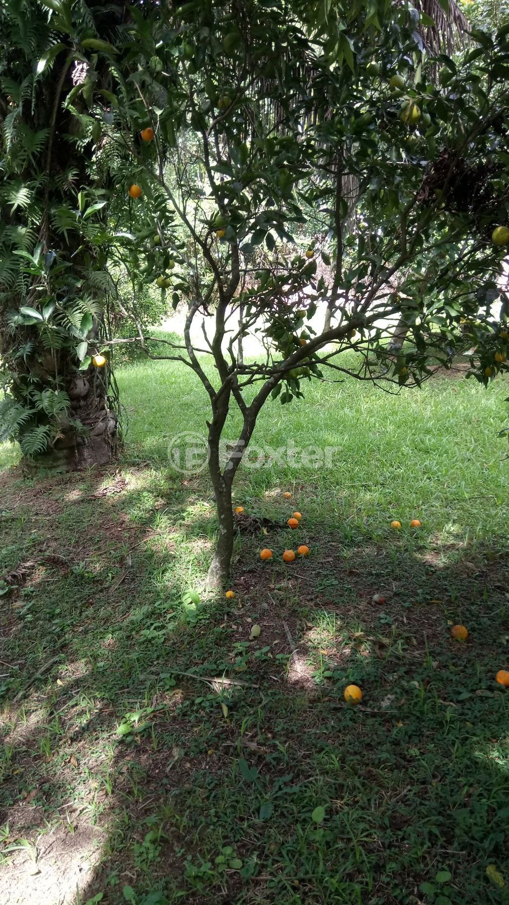 casa sobrado para comprar em das Quirinas, 708 - foto 12