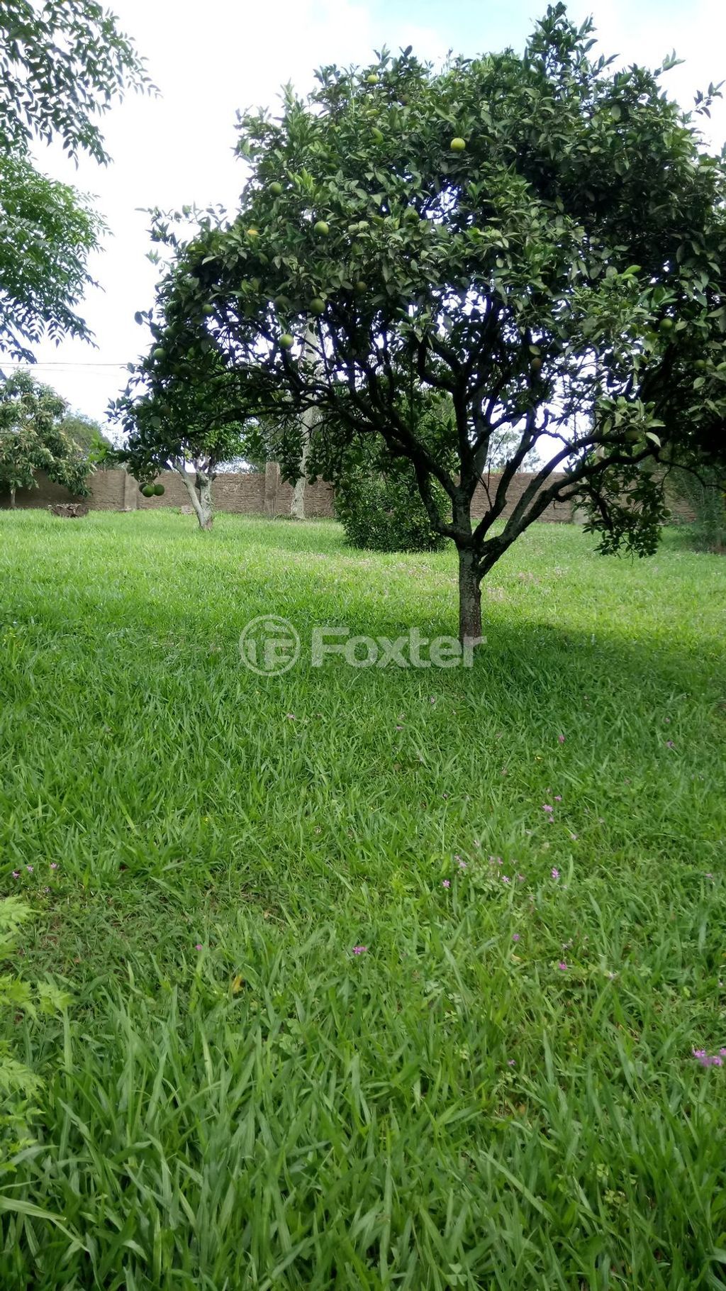 casa sobrado para comprar em das Quirinas, 708 - foto 13
