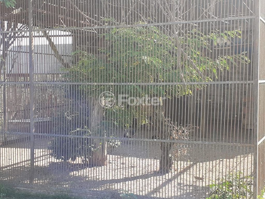 terreno lote condominio para comprar em Stringhini, 96 - foto 30