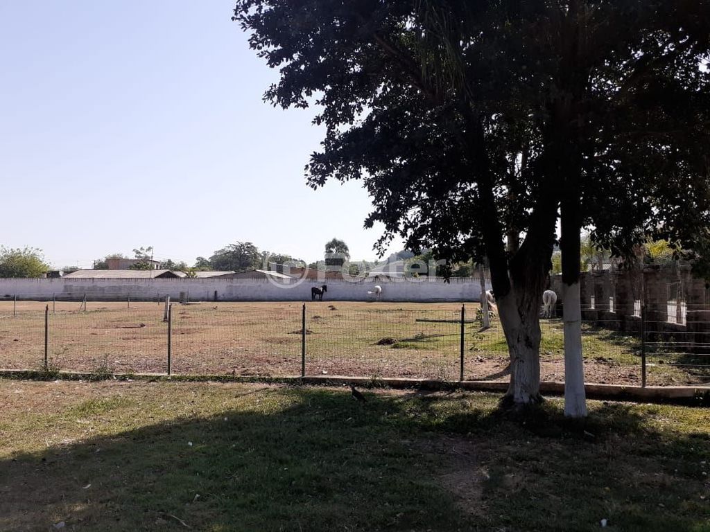 terreno lote condominio para comprar em Stringhini, 96 - foto 22