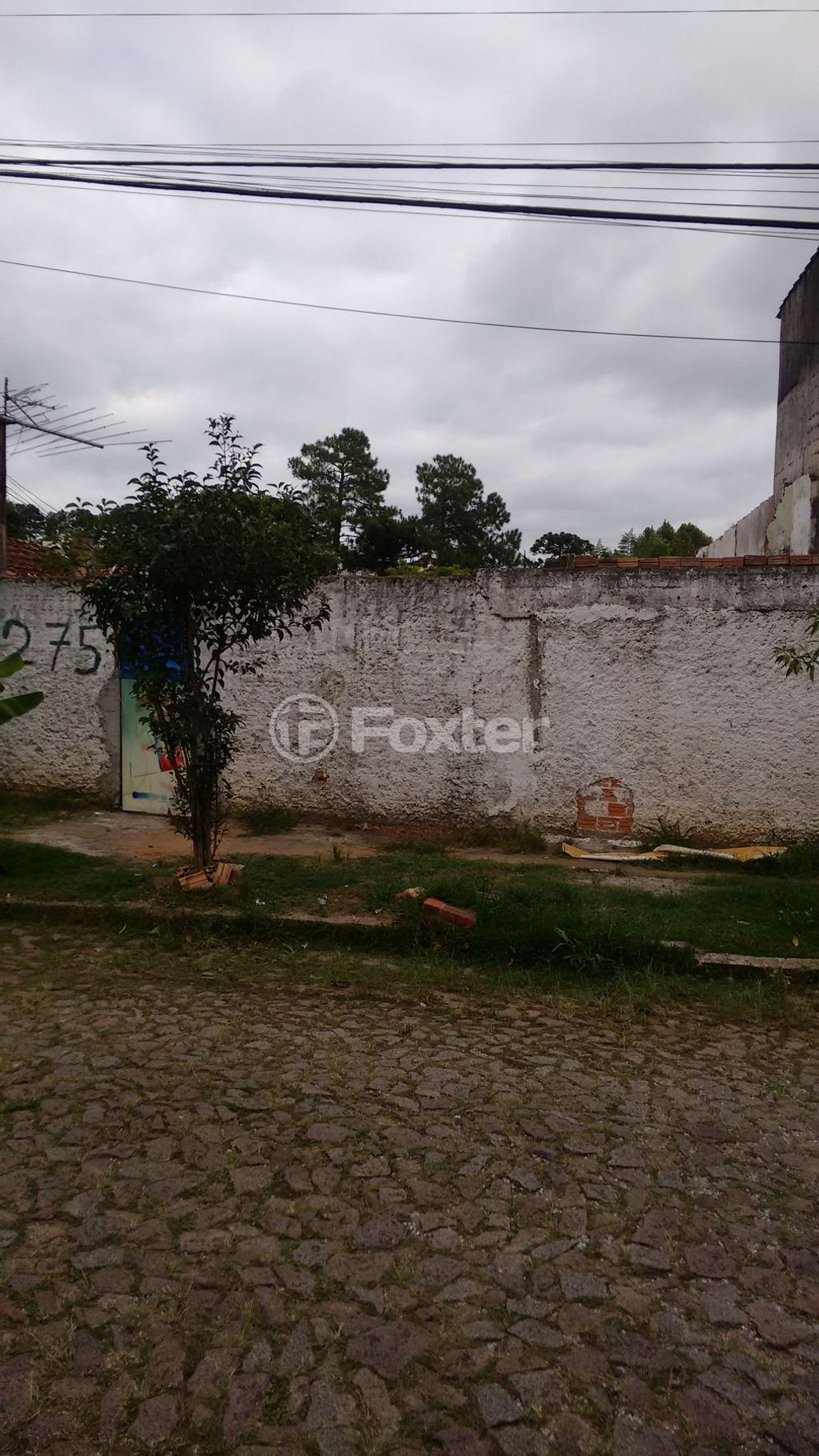 terreno lote condominio para comprar em Doutor Paulino Guerra, 275 - foto 6