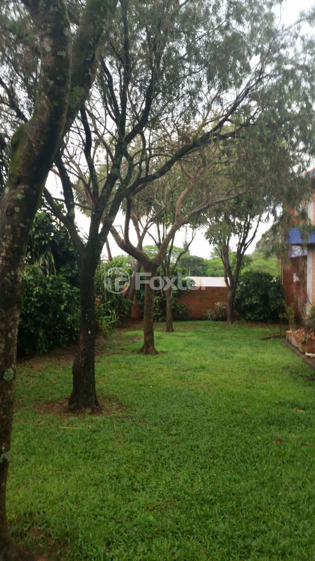galpao deposito pavilhao para comprar em Feitoria, 3141 - foto 14