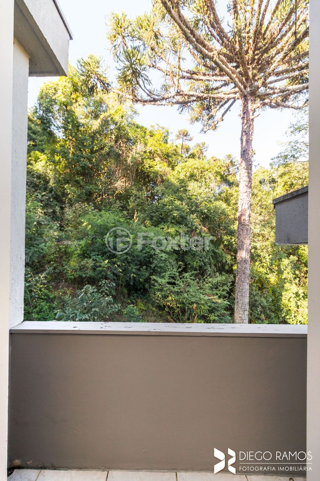 Casa em condominio para comprar em Coronel Marcos, 550 - foto 35