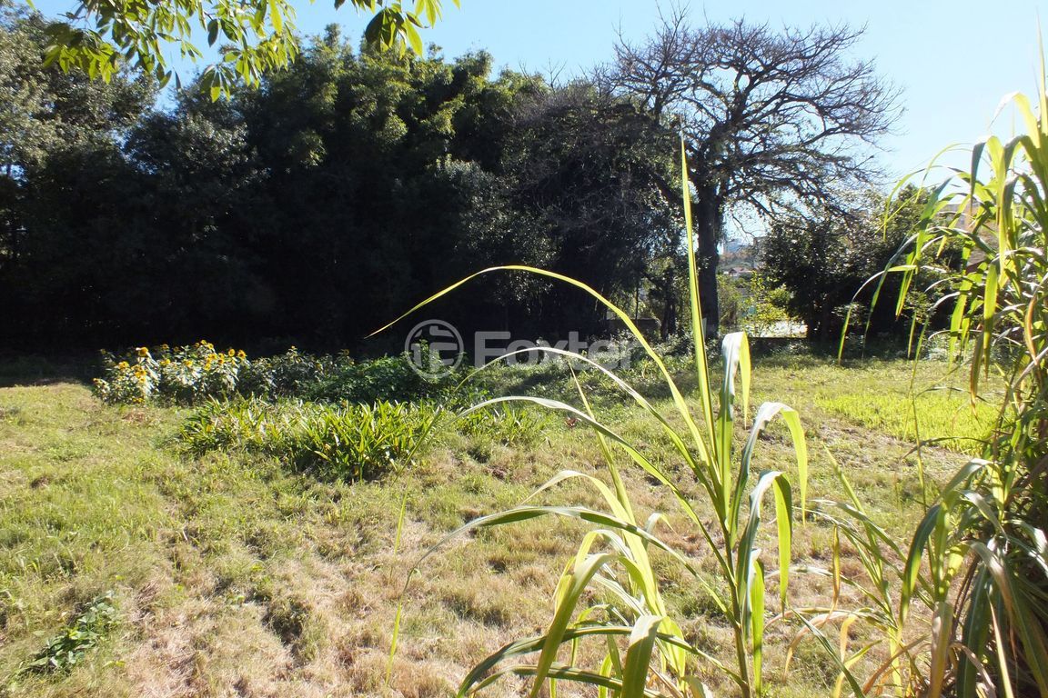 terreno lote condominio para comprar em General Rondon, 1522 - foto 14
