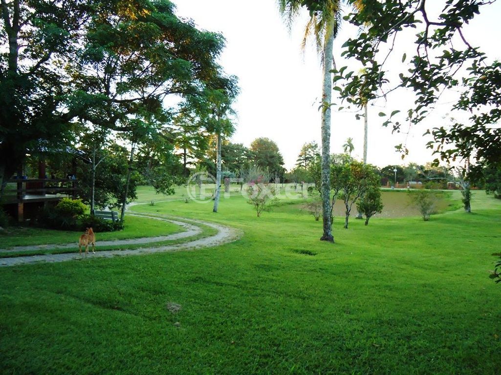sitio chachara fazenda para comprar em Luís Pinto de Barcelos, 1511 - foto 27