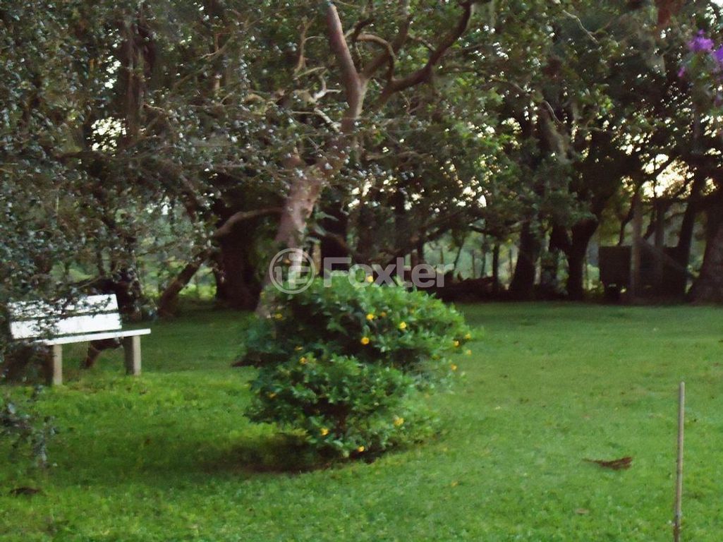 sitio chachara fazenda para comprar em Luís Pinto de Barcelos, 1511 - foto 23