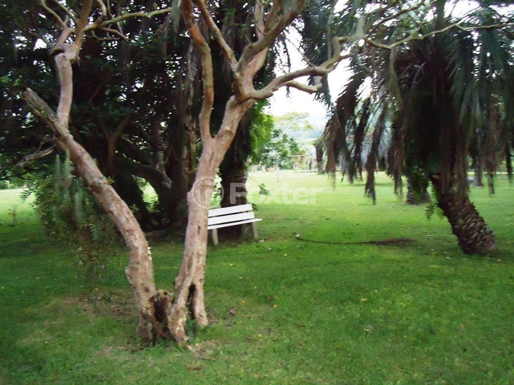 sitio chachara fazenda para comprar em Luís Pinto de Barcelos, 1511 - foto 24