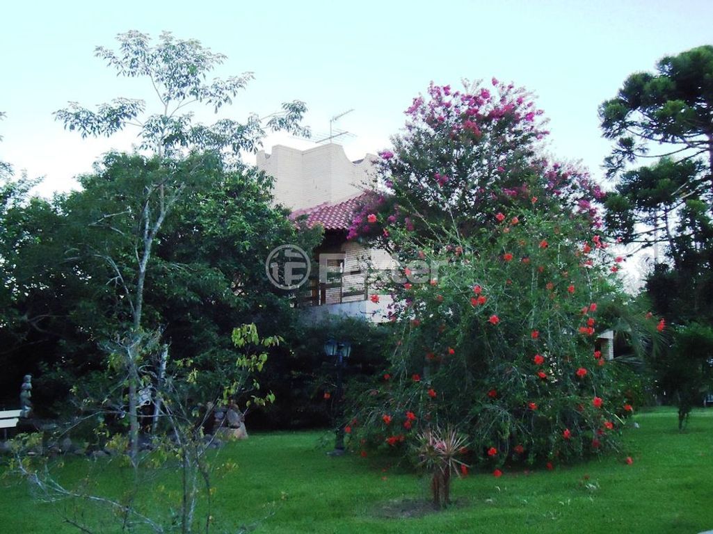 sitio chachara fazenda para comprar em Luís Pinto de Barcelos, 1511 - foto 10