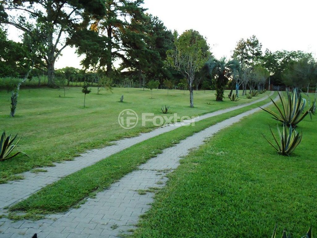 sitio chachara fazenda para comprar em Luís Pinto de Barcelos, 1511 - foto 28