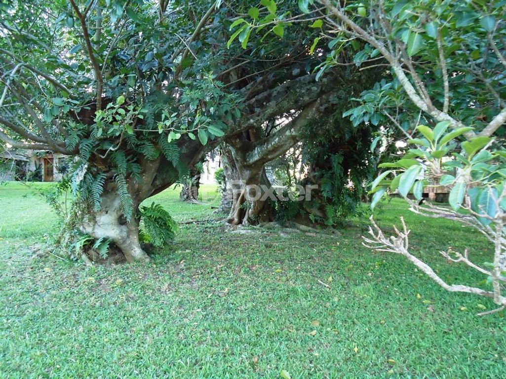 sitio chachara fazenda para comprar em Luís Pinto de Barcelos, 1511 - foto 43