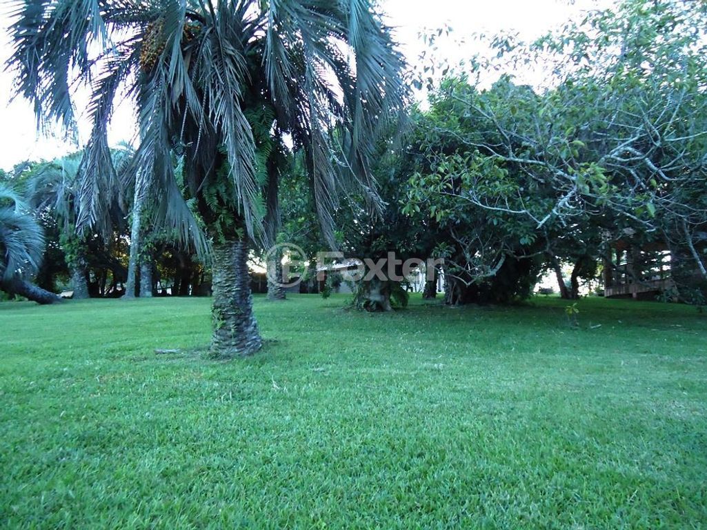 sitio chachara fazenda para comprar em Luís Pinto de Barcelos, 1511 - foto 37