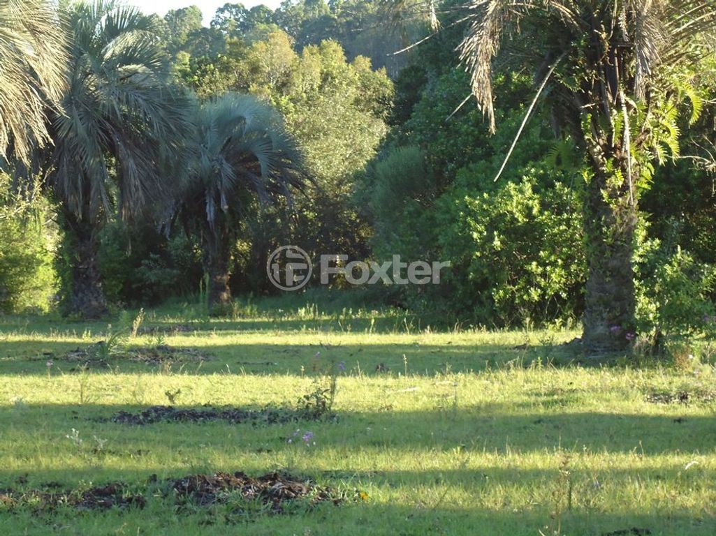 sitio chachara fazenda para comprar em Luís Pinto de Barcelos, 1511 - foto 33