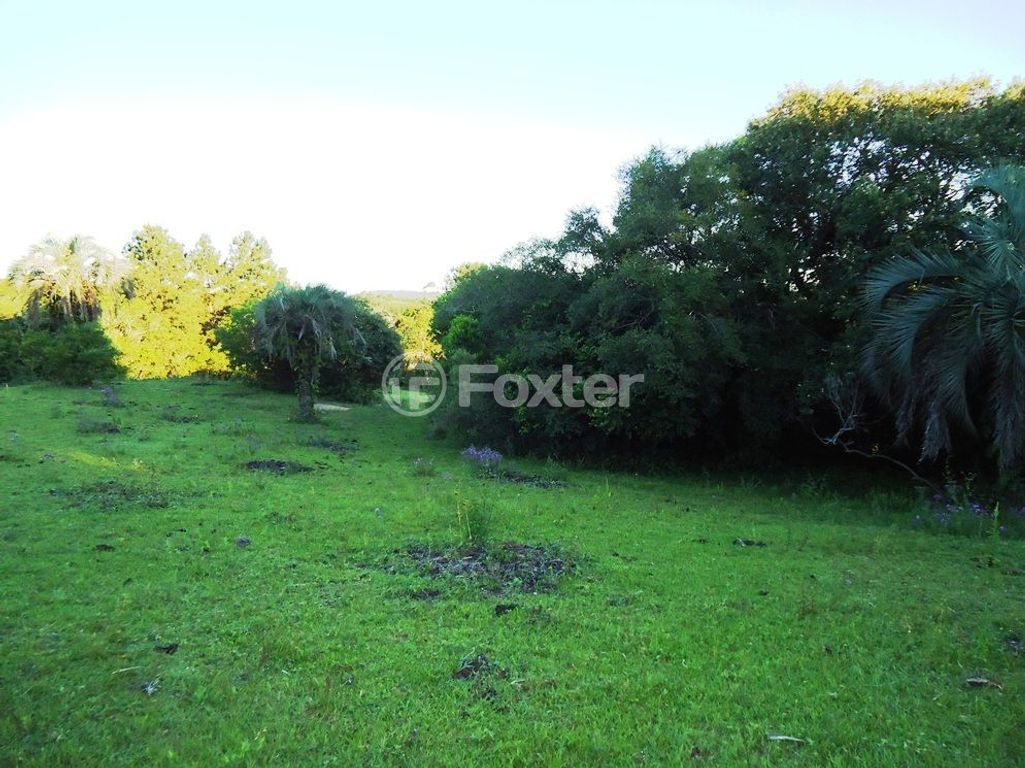 sitio chachara fazenda para comprar em Luís Pinto de Barcelos, 1511 - foto 15