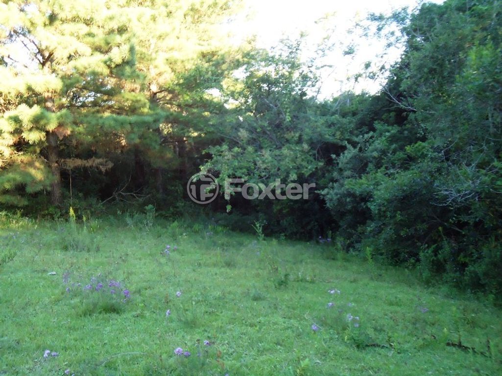 sitio chachara fazenda para comprar em Luís Pinto de Barcelos, 1511 - foto 34