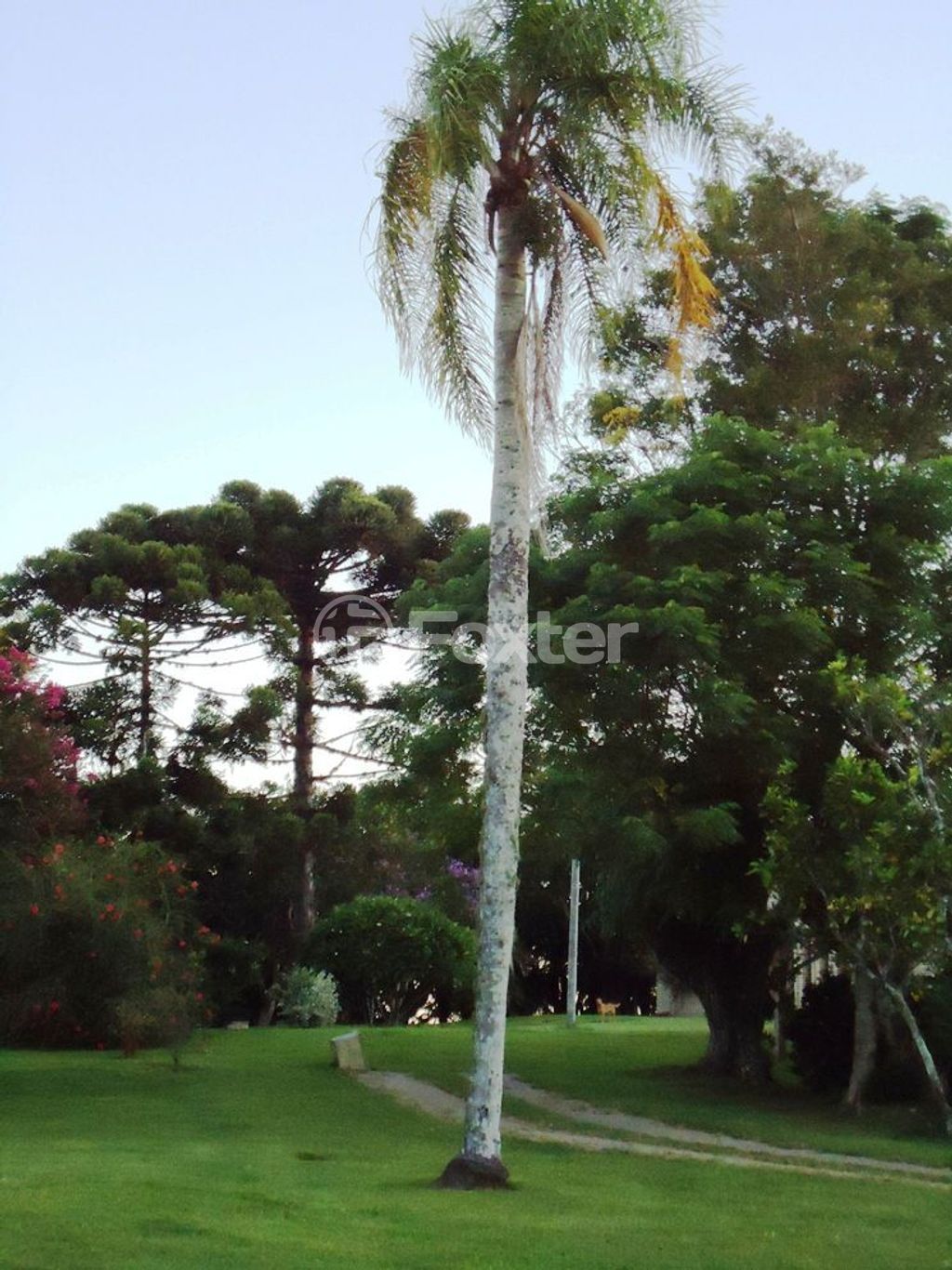 sitio chachara fazenda para comprar em Luís Pinto de Barcelos, 1511 - foto 17