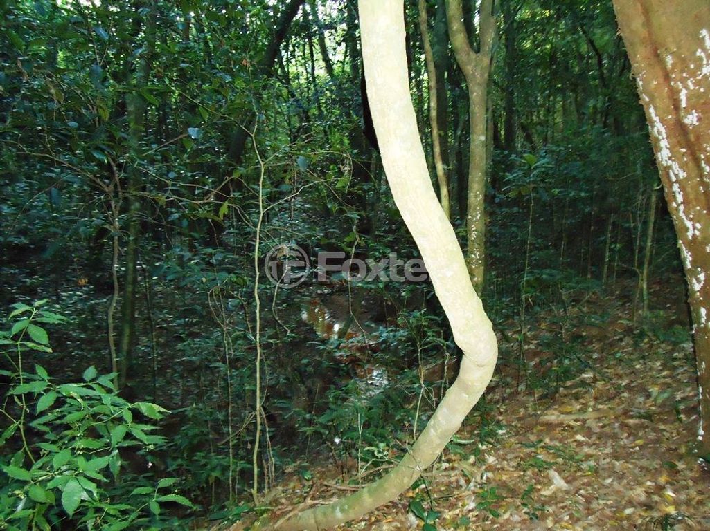 sitio chachara fazenda para comprar em Luís Pinto de Barcelos, 1511 - foto 45