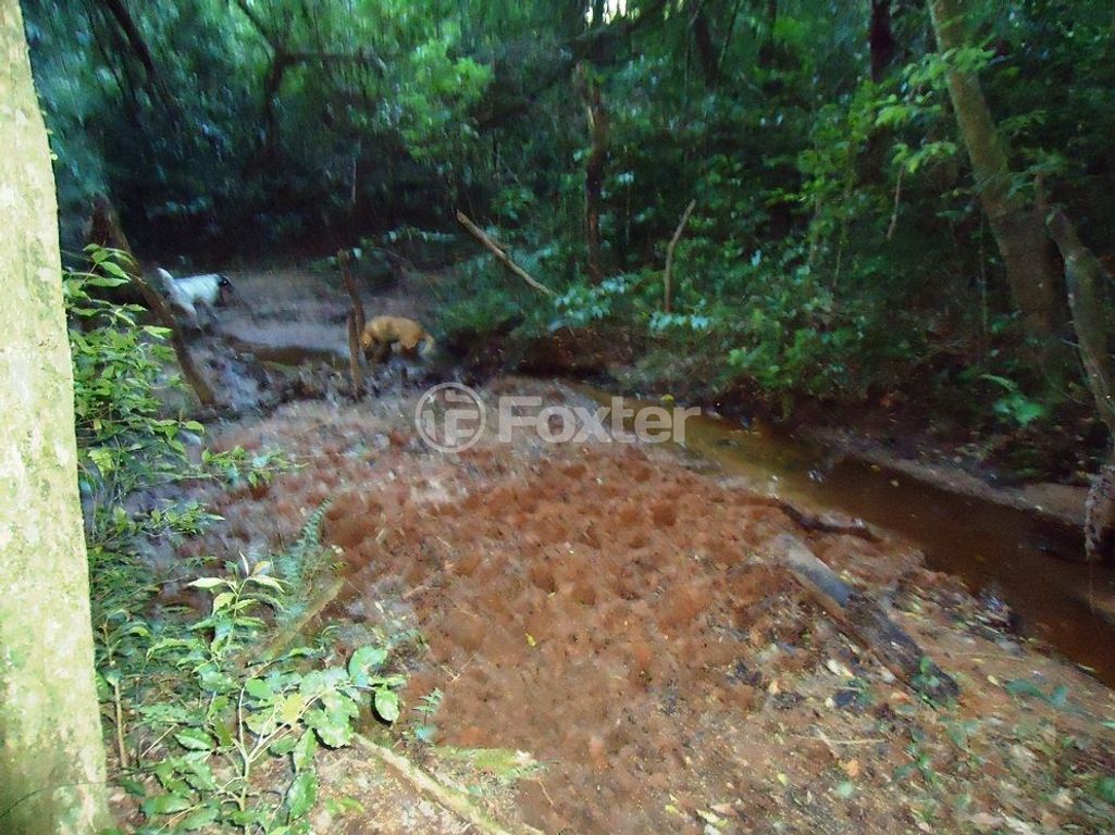 sitio chachara fazenda para comprar em Luís Pinto de Barcelos, 1511 - foto 44