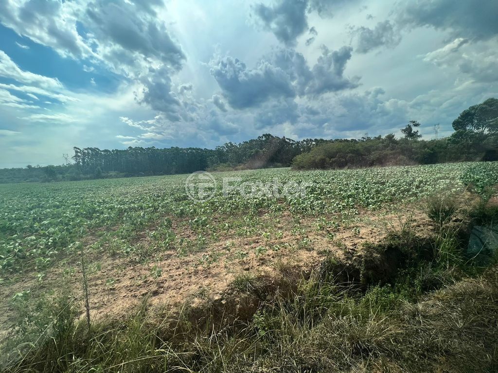 sitio chachara fazenda para comprar em BR-386, 386 - foto 23