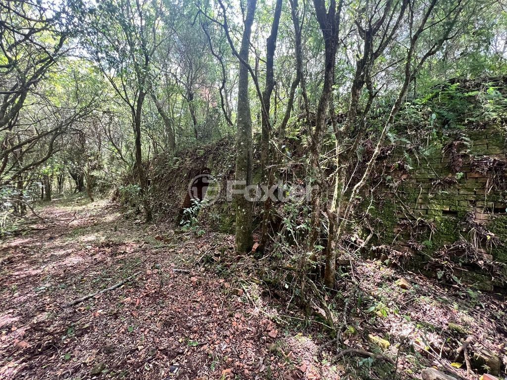 sitio chachara fazenda para comprar em BR-386, 386 - foto 28