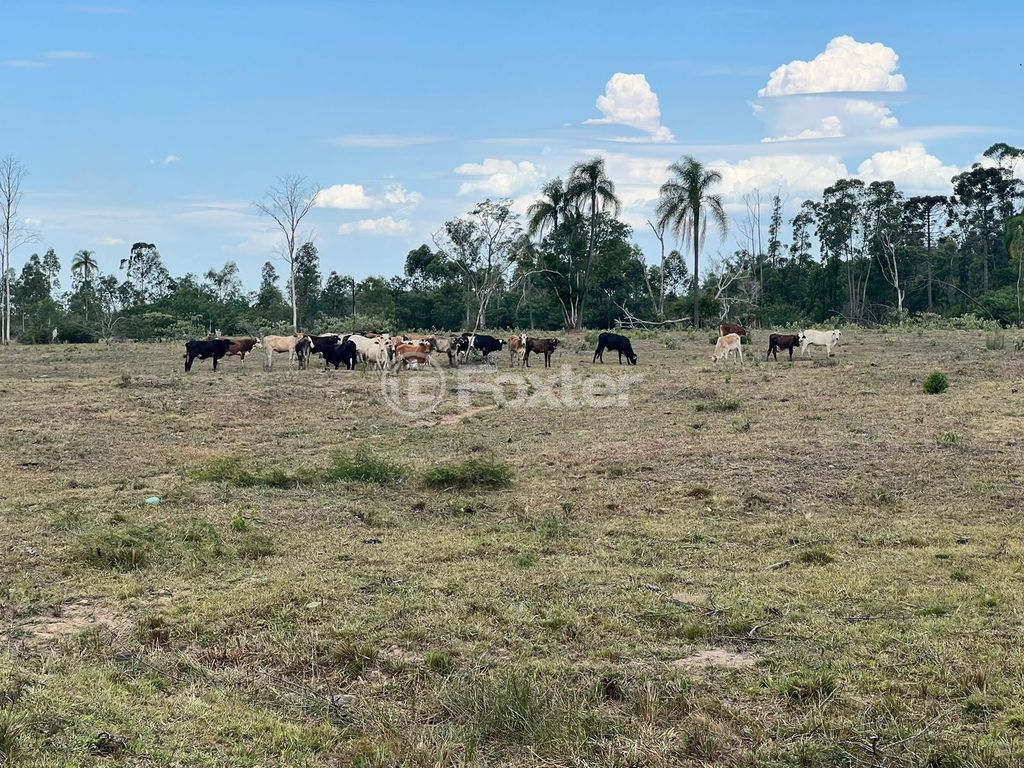 sitio chachara fazenda para comprar em BR-386, 386 - foto 12