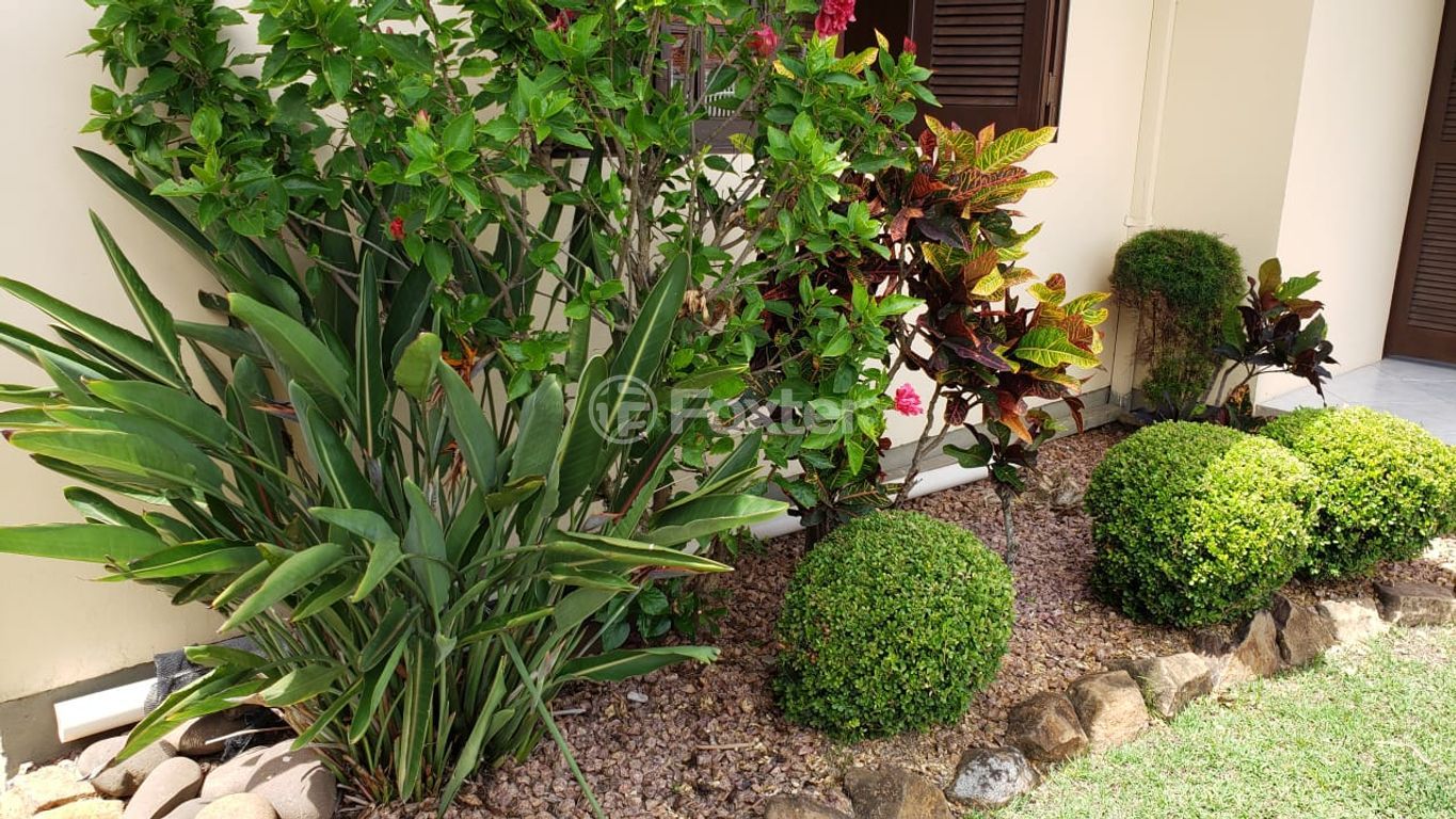 casa sobrado para comprar em Manoel Braz de Lima, 4392 - foto 28