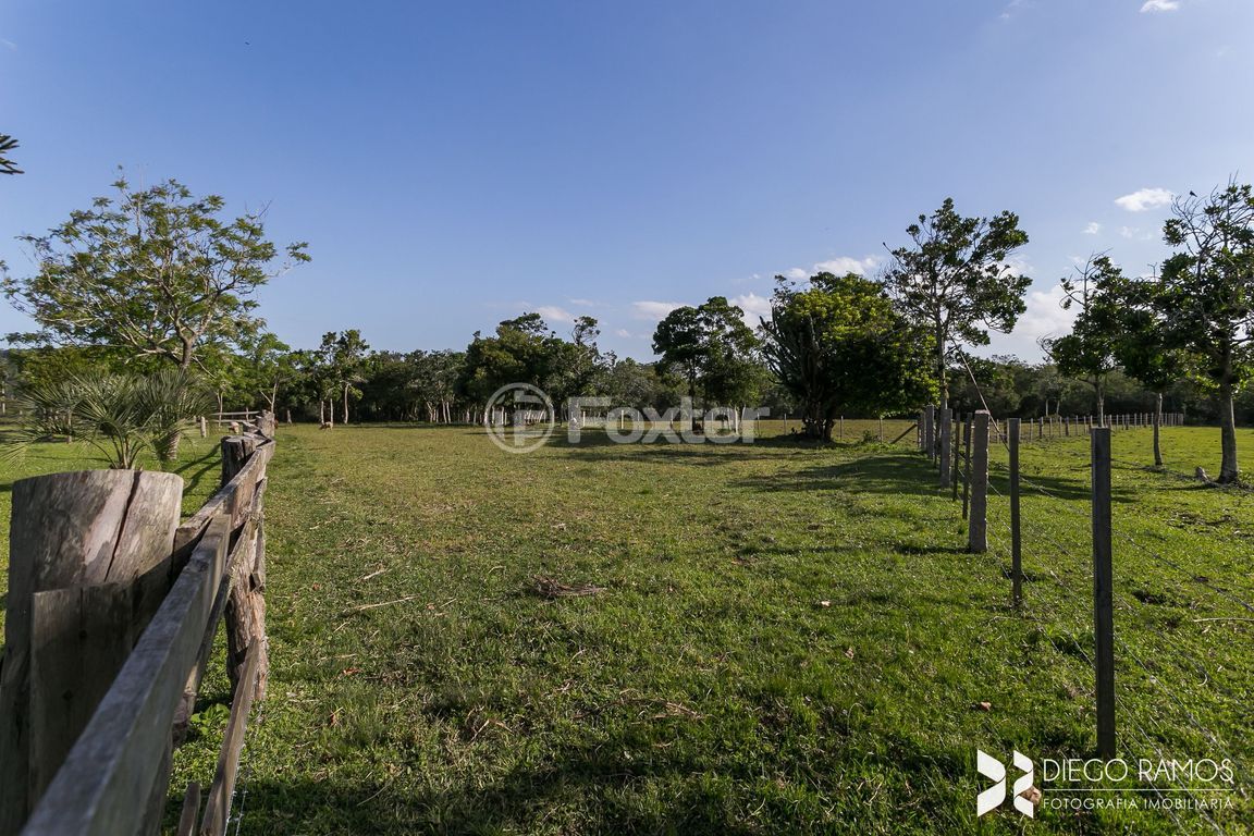 sitio chachara fazenda para comprar em Armando Inácio da Silveira, 2500 - foto 45