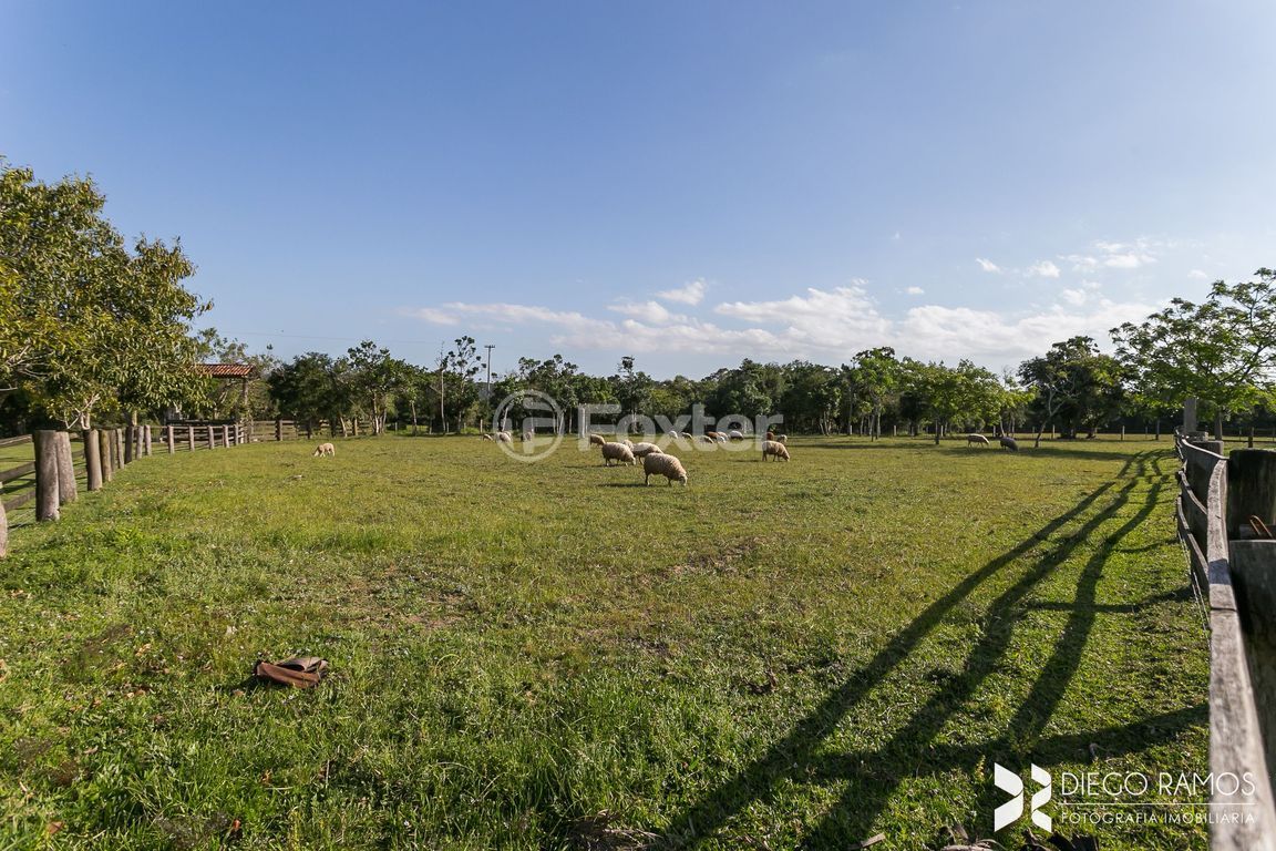 sitio chachara fazenda para comprar em Armando Inácio da Silveira, 2500 - foto 48