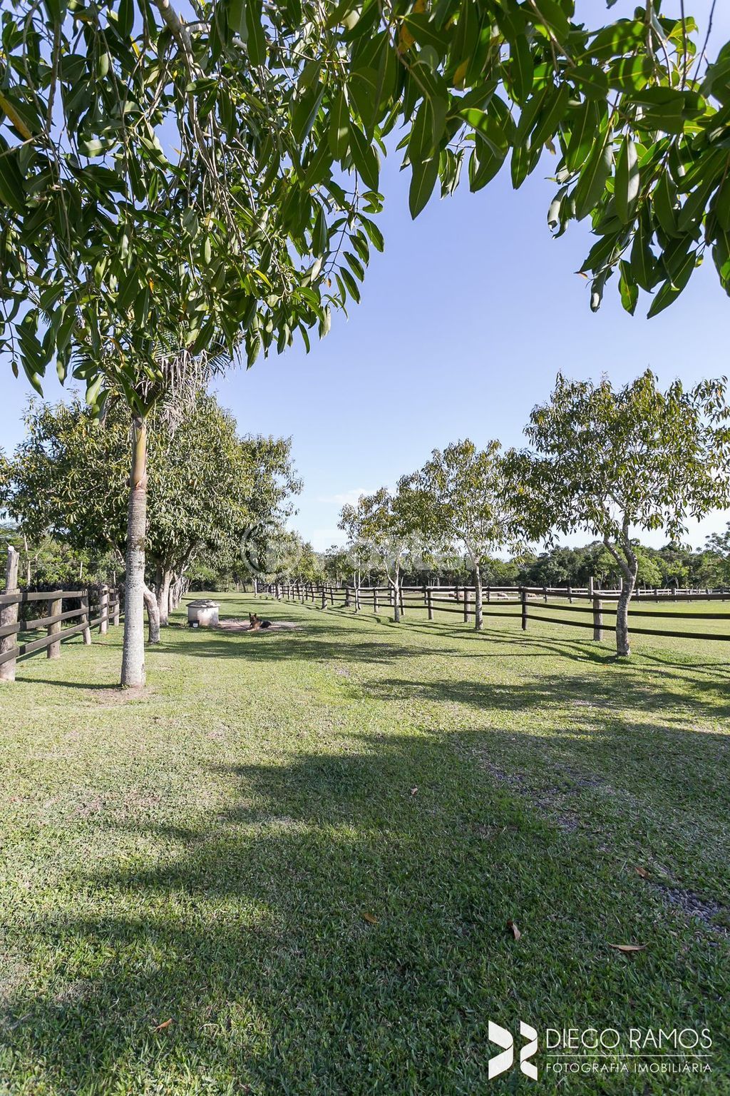 sitio chachara fazenda para comprar em Armando Inácio da Silveira, 2500 - foto 49